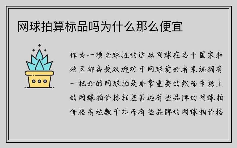 网球拍算标品吗为什么那么便宜