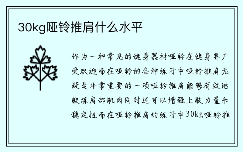 30kg哑铃推肩什么水平