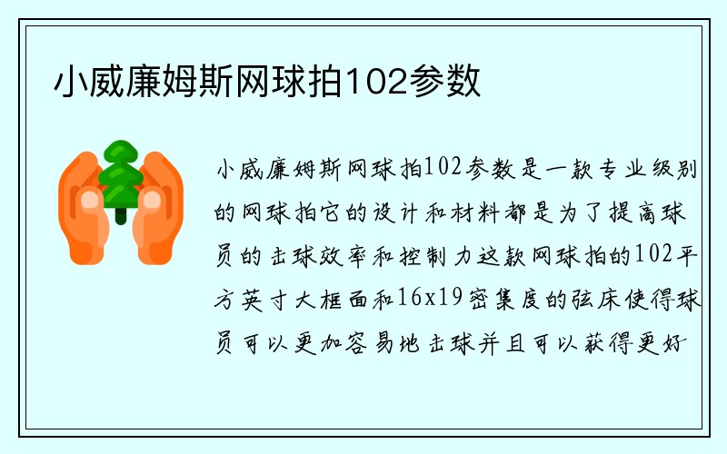 小威廉姆斯网球拍102参数