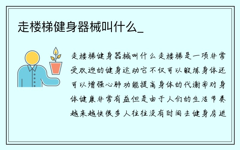 走楼梯健身器械叫什么_