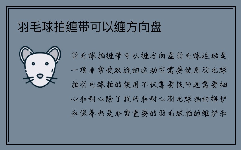 羽毛球拍缠带可以缠方向盘